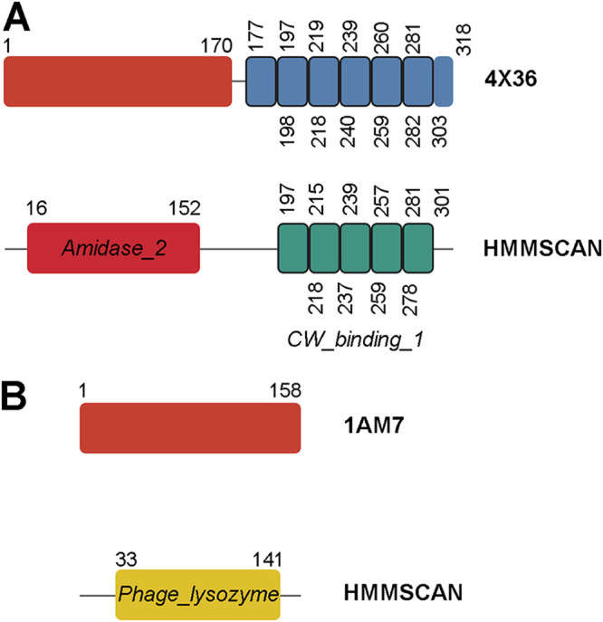 FIG 1