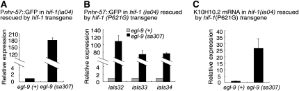 Figure 2.—