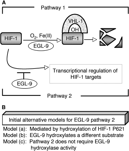 Figure 1.—