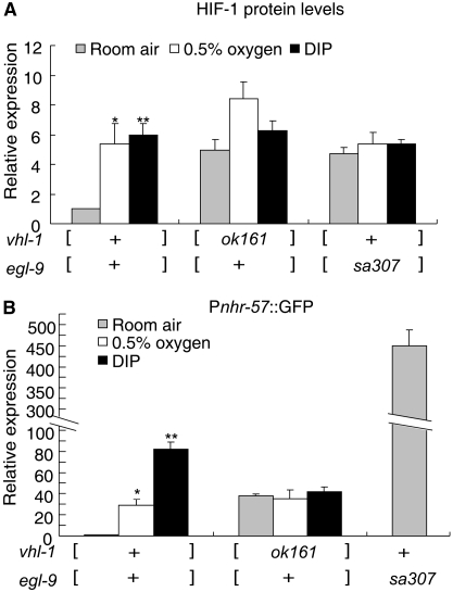 Figure 3.—