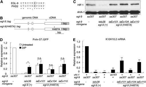 Figure 4.—