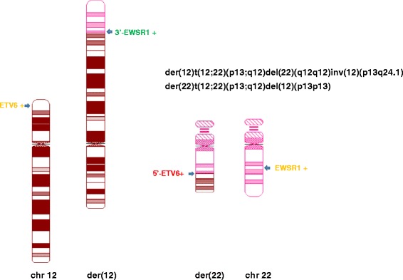 Fig. 2