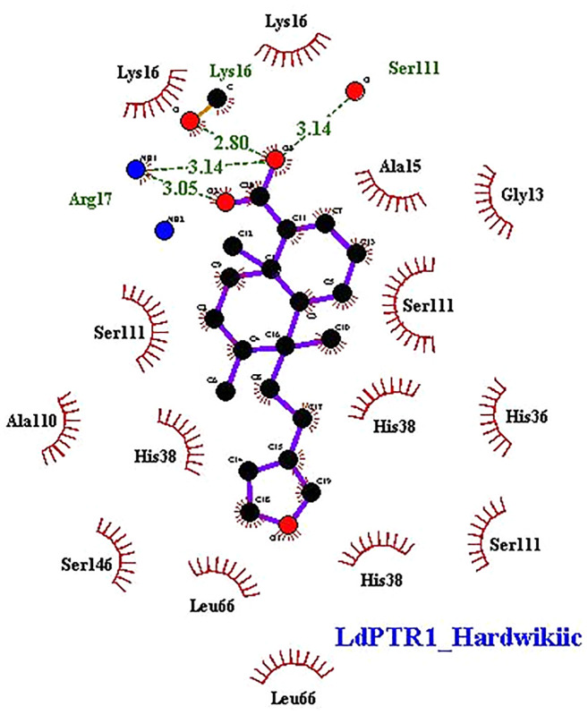 Figure 6