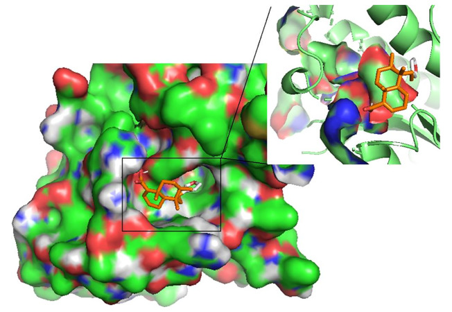 Figure 5