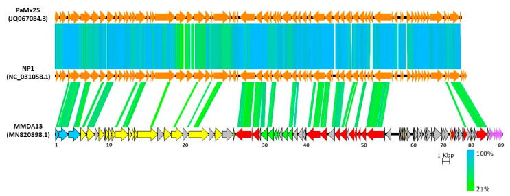 Figure 6