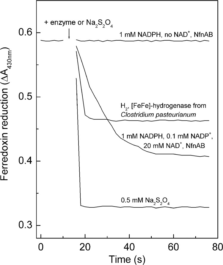 Fig 4