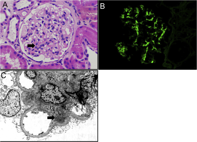 Figure 1