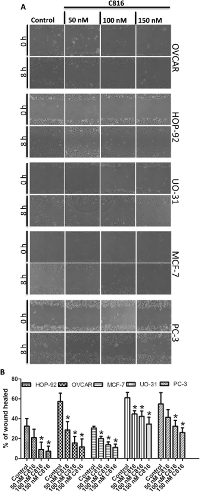 Figure 9