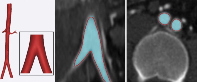 Figure 3a.