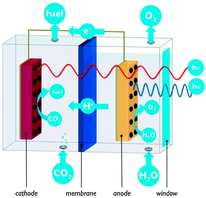 Figure 28