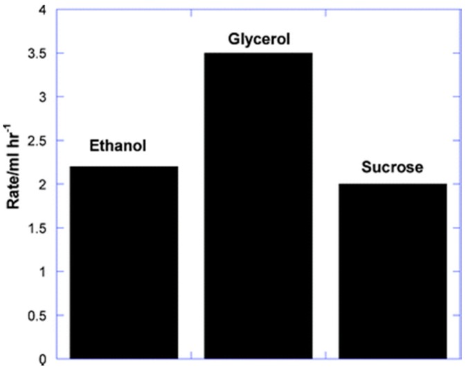 Figure 24