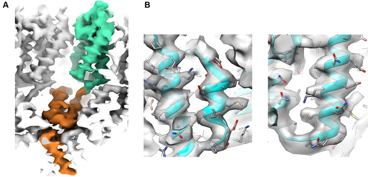 Fig 9