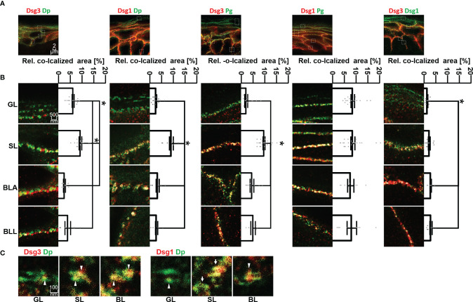 Figure 3