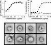 FIG. 12.