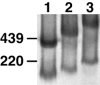 FIG. 9.