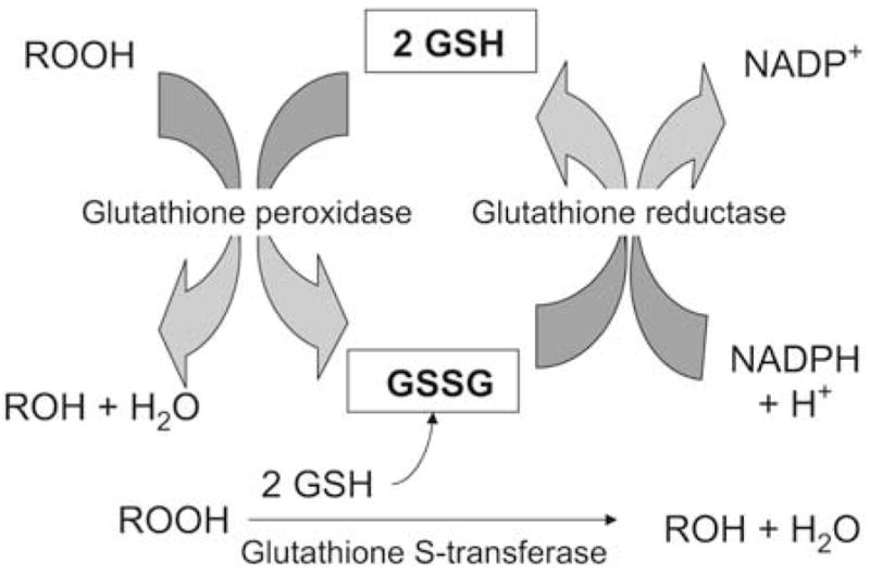 FIG 1