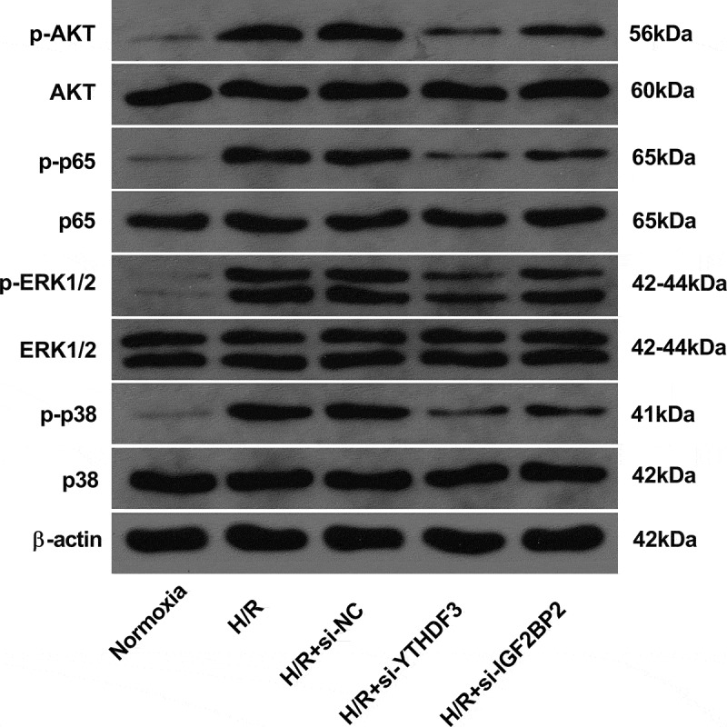 Figure 5.