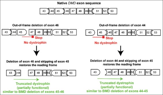 FIGURE 5