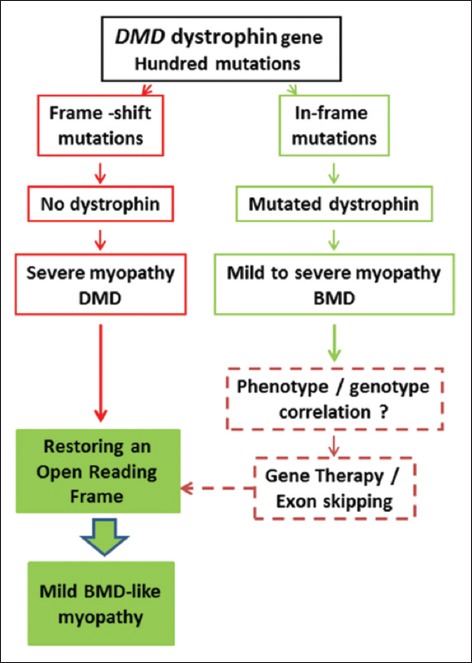 FIGURE 3