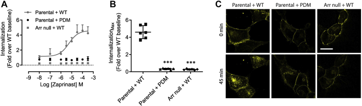 Figure 7