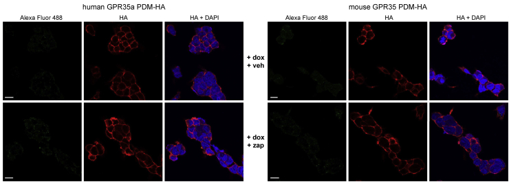 Figure 10