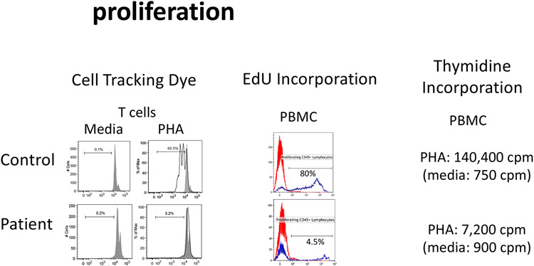 Figure 7: