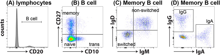 Figure 1: