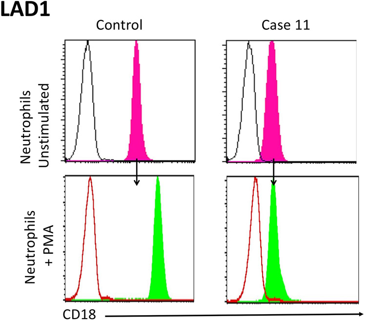 Figure 12: