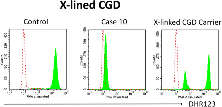 Figure 11: