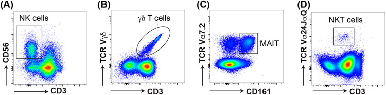 Figure 5: