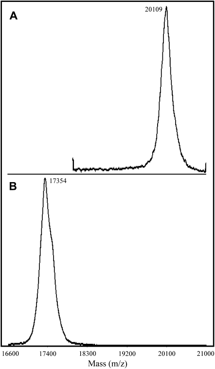 Figure 8.