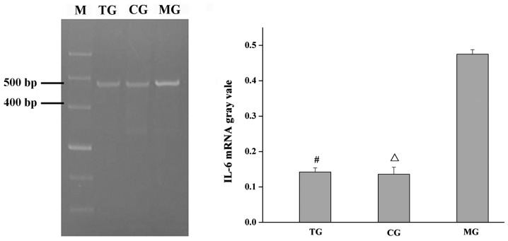 Figure 5