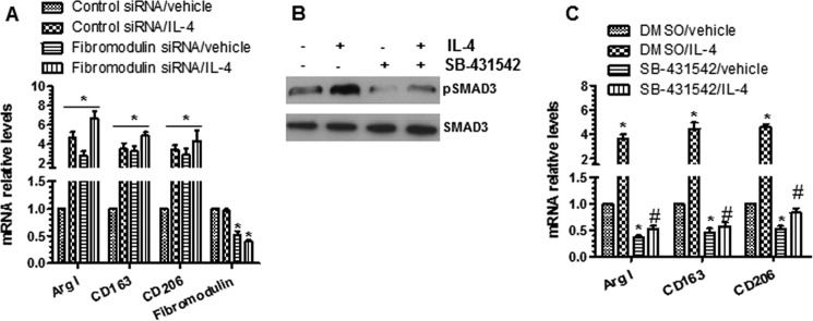 FIGURE 10.