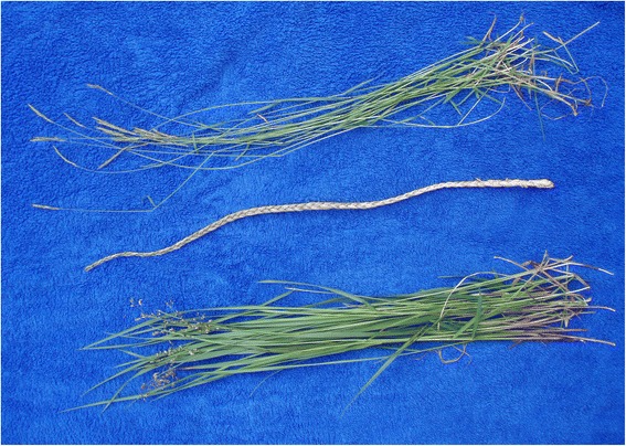 Fig. 3