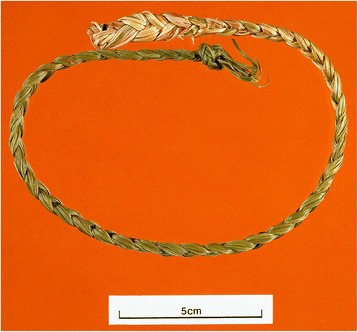 Fig. 2