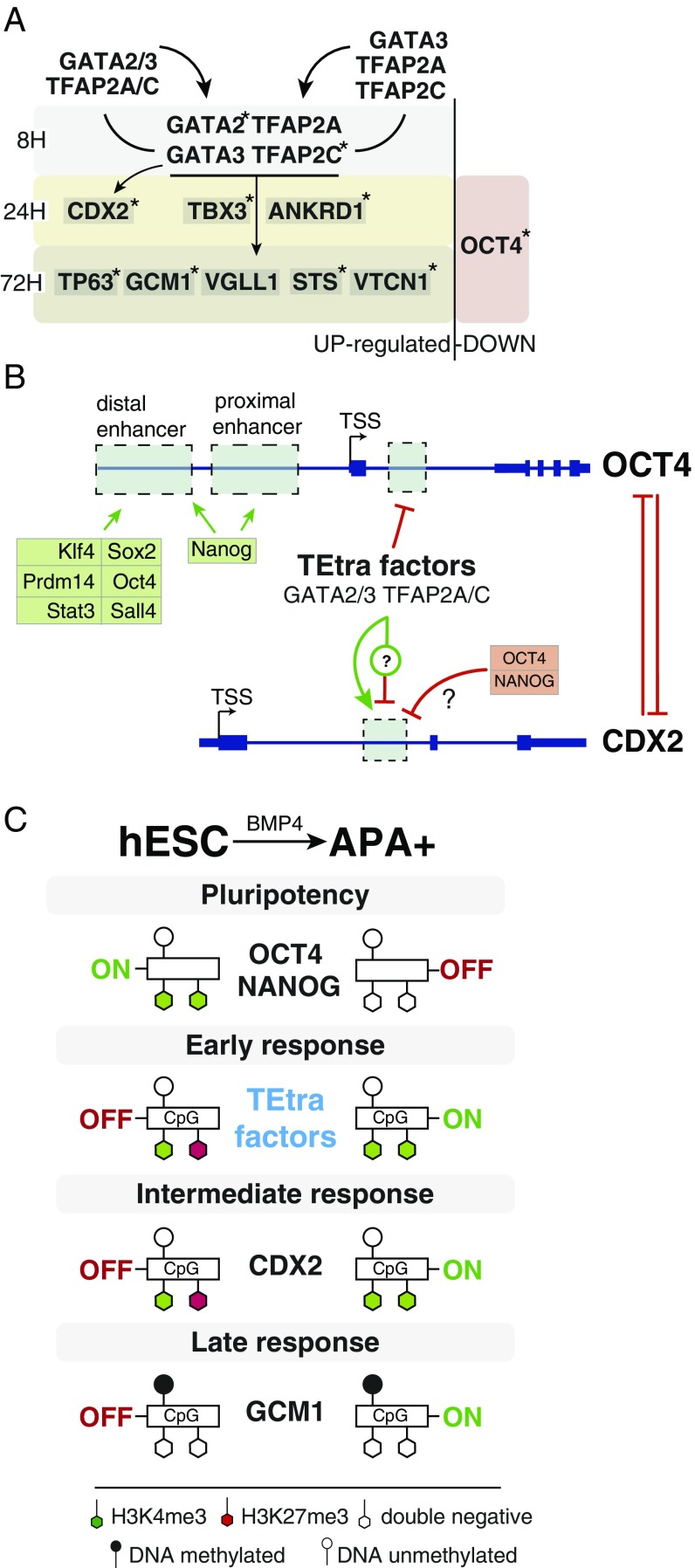 Fig. 6.