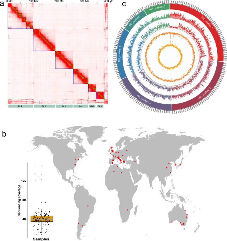 Fig. 1