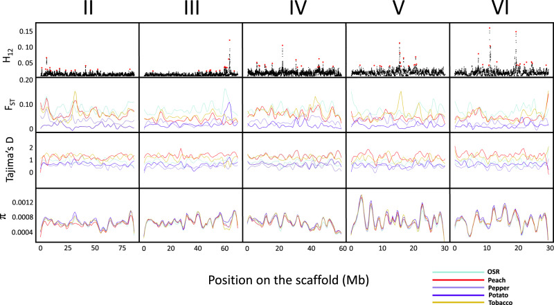 Fig. 4