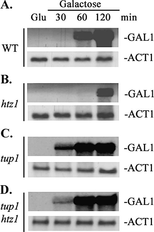 FIG. 2.