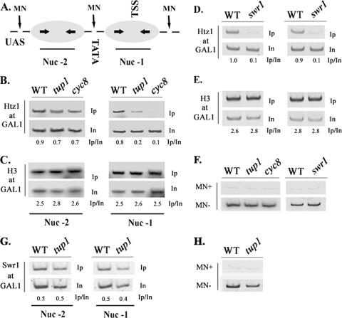 FIG. 6.