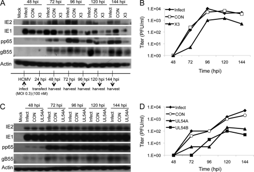 Fig 10