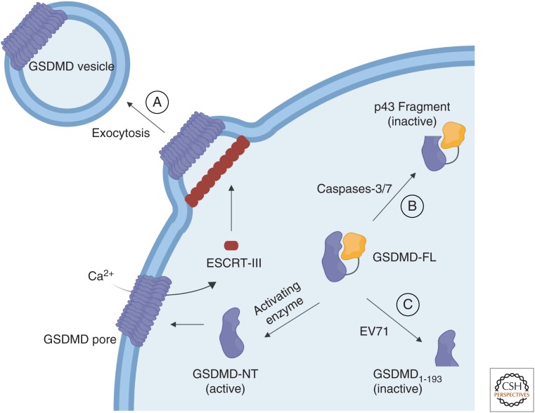 Figure 3.