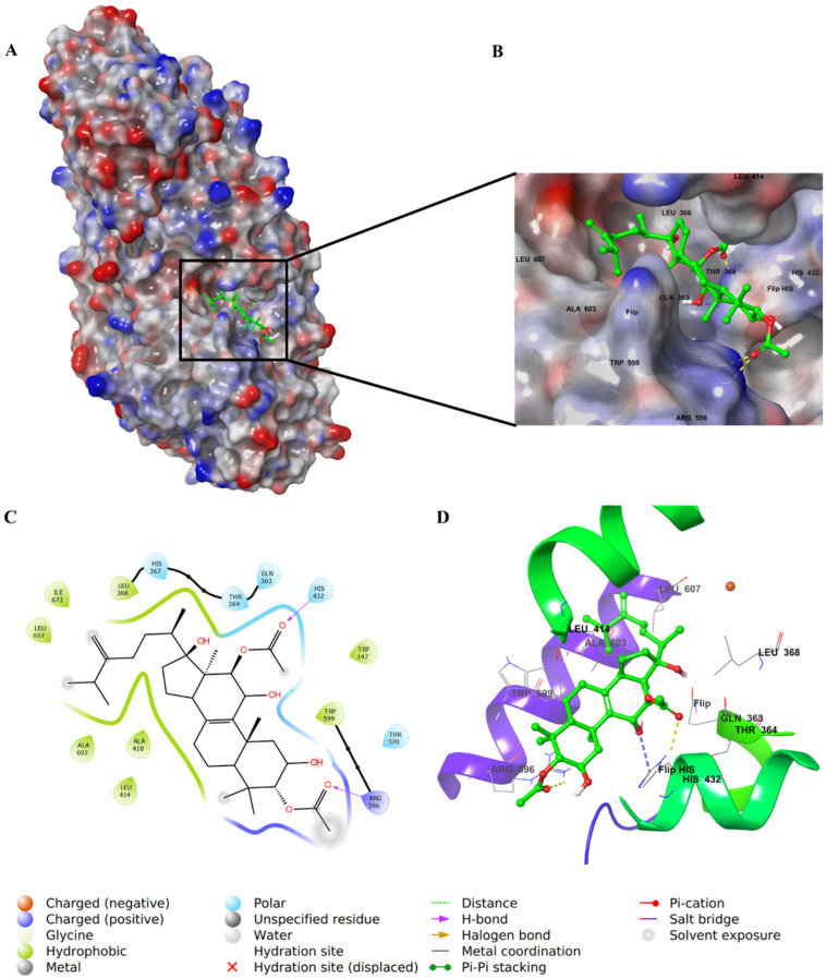 Figure 11