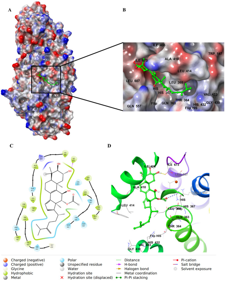 Figure 12