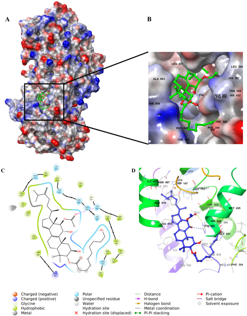 Figure 7