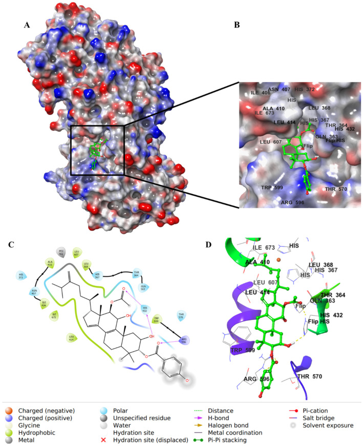 Figure 9