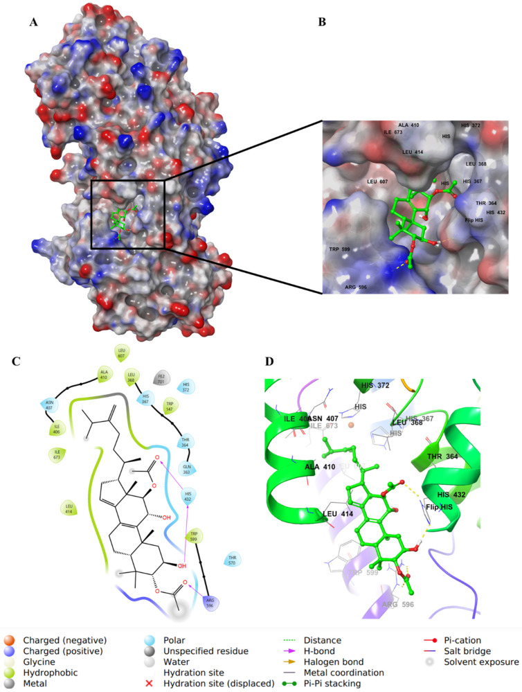 Figure 10