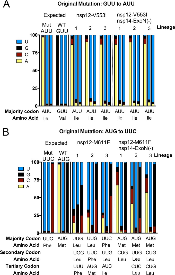 FIG 6