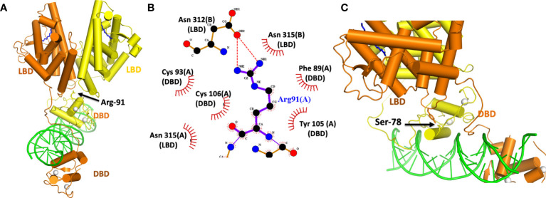 Figure 4