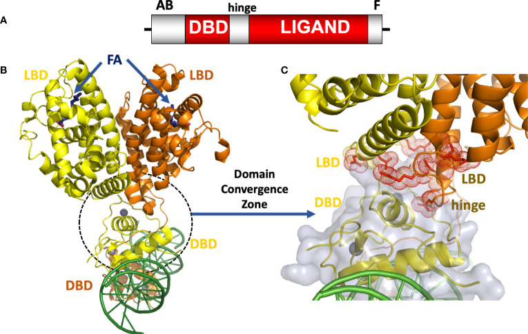 Figure 1